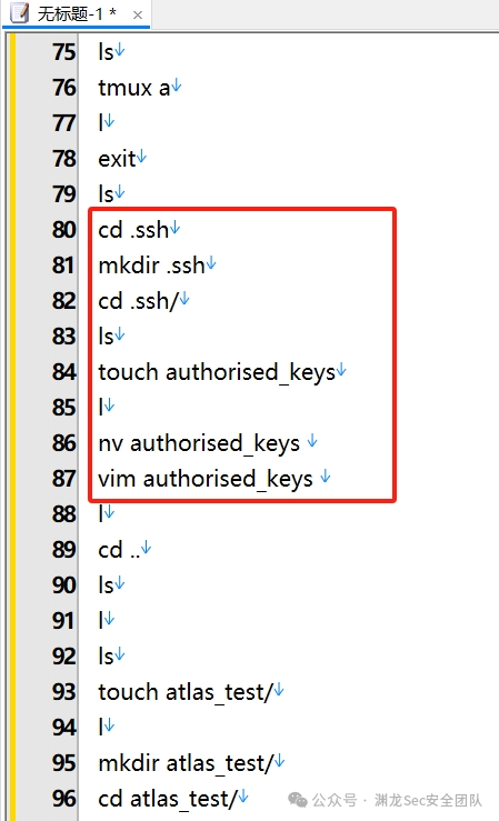 格式化后的.bash_history显示具体的SSH密钥操作命令