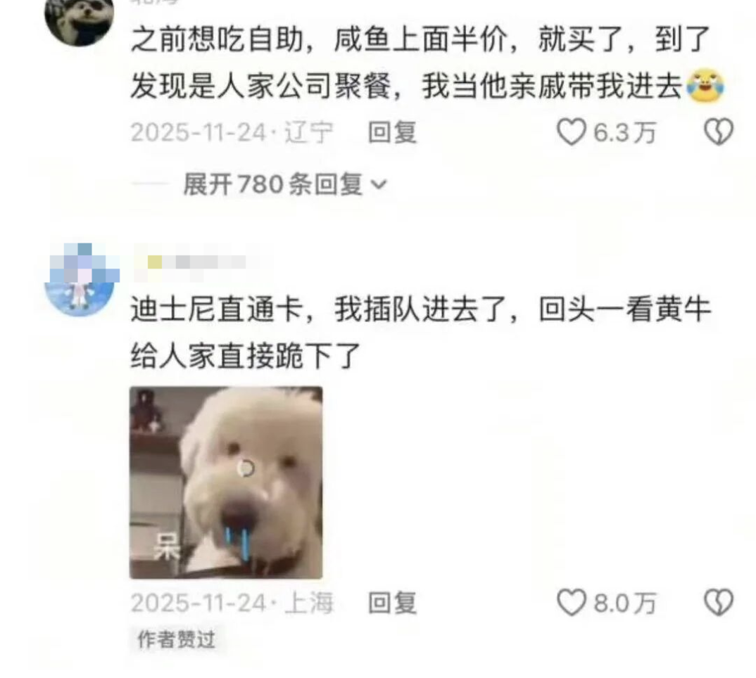 社交媒体评论截图：关于误入公司聚餐、迪士尼黄牛下跪的讨论