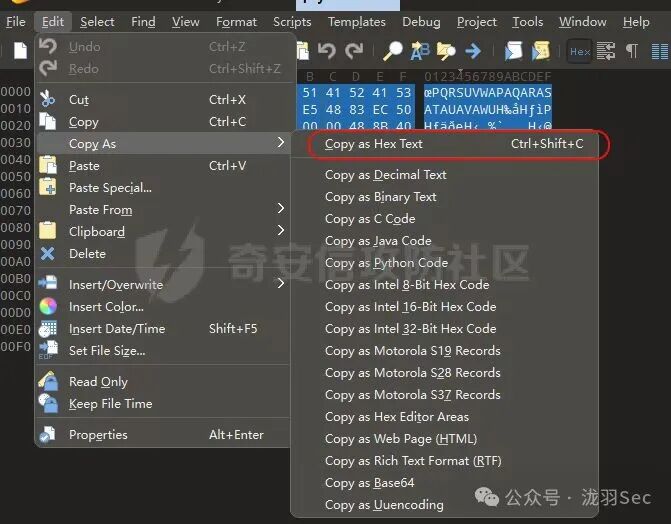 010 Editor的粘贴自十六进制文本菜单