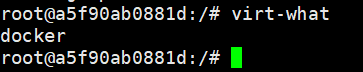 Docker容器内运行virt-what输出docker