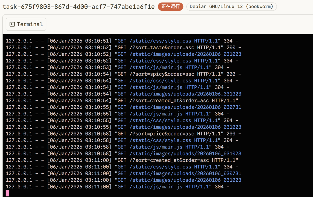 终端中显示 Web 服务器运行日志