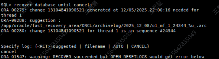执行恢复数据库命令并遇到错误