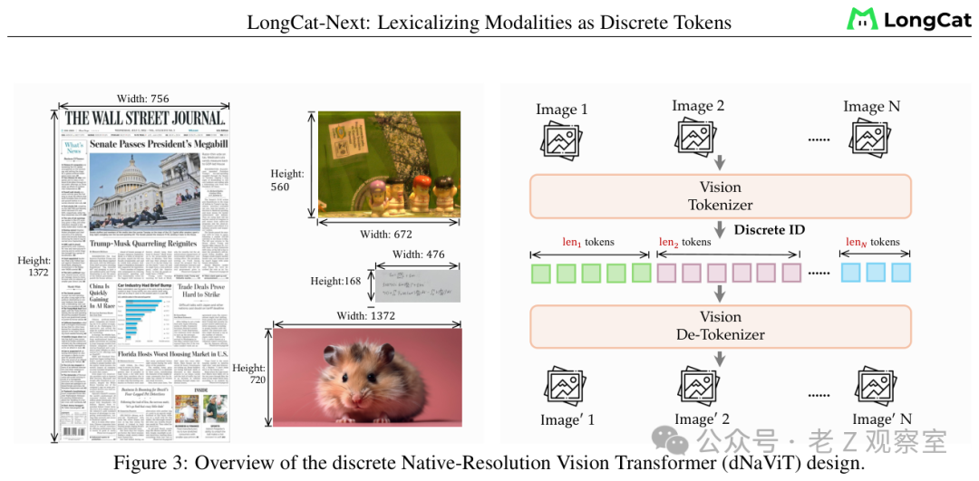 LongCat-Next的dNaViT视觉分词器架构图