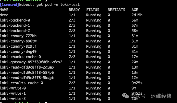 Loki 组件 Pod 状态列表