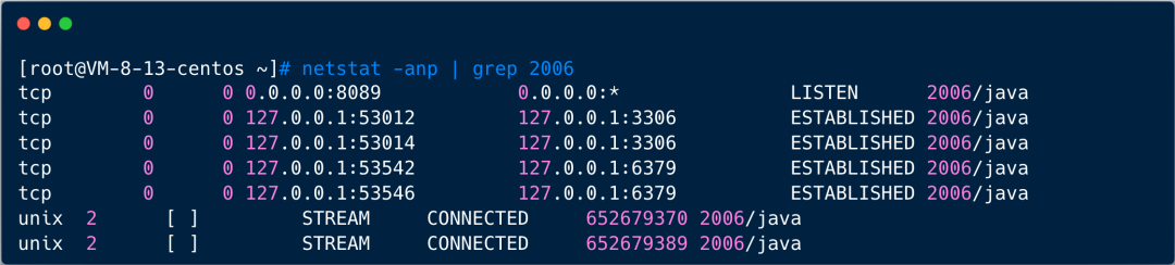 netstat grep pid