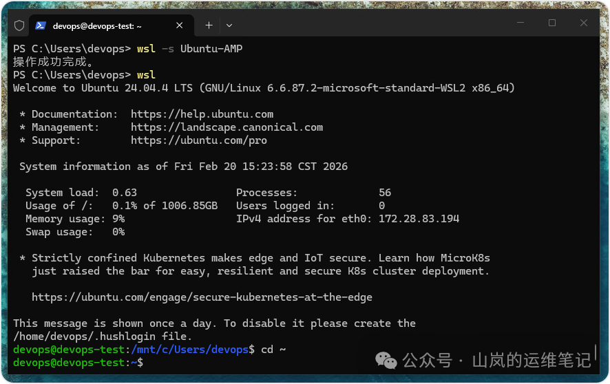WSL Ubuntu 24.04 终端界面