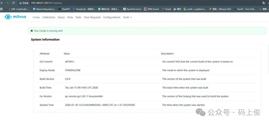 Milvus 向量数据库集群状态监控界面
