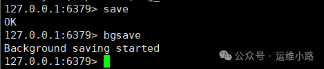 Redis SAVE与BGSAVE命令执行示例