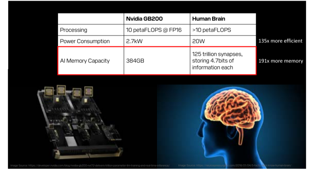 Nvidia GB200 与人脑内存带宽效率对比