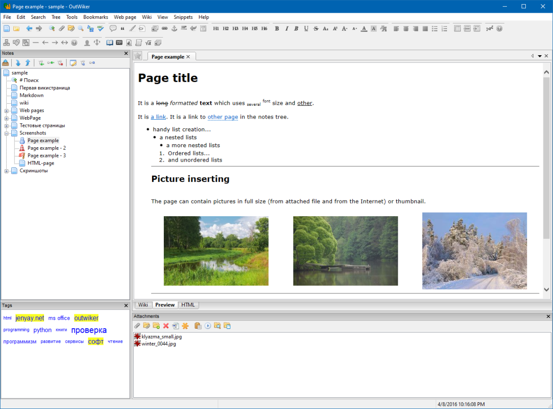 OutWiker软件界面截图：左侧笔记树与右侧编辑区