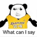 “What can I say”熊猫表情图