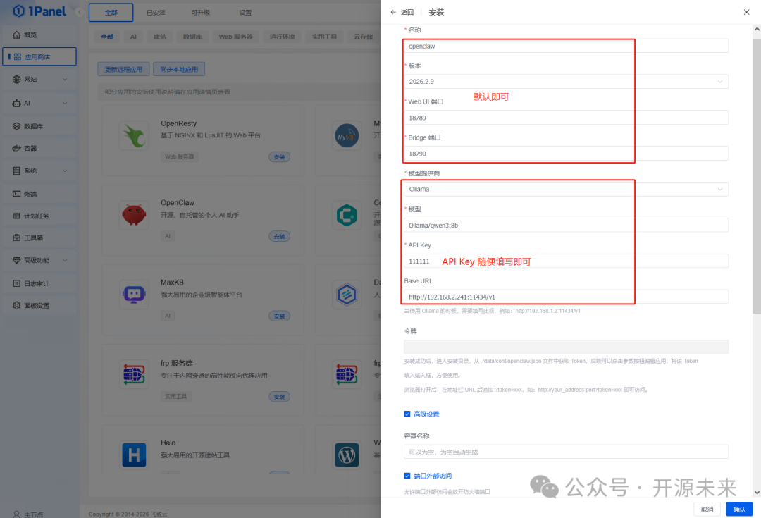 OpenClaw应用安装参数配置界面