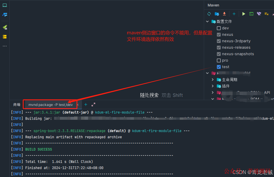 Run 窗口显示正在执行 mvnd package 命令