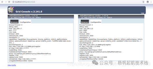 Grid 控制台同时显示 Chrome 和 Firefox 节点