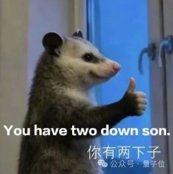 一只负鼠竖起大拇指，配文‘You have two down son. 你有两下子。’