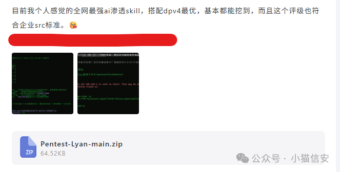 Pentest-Lyan-main压缩包及评论截图