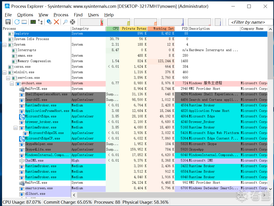 Process Explorer 进程列表