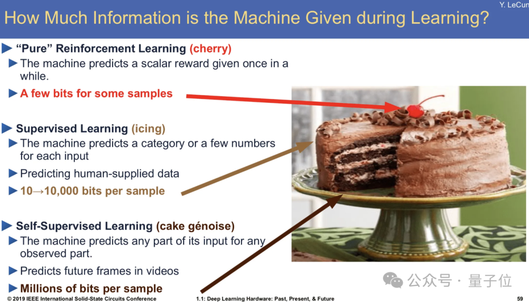 关于机器学习中信息量的类比图，将自监督学习比作蛋糕主体