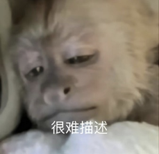 表情疲惫的猴子，配文“很难描述”