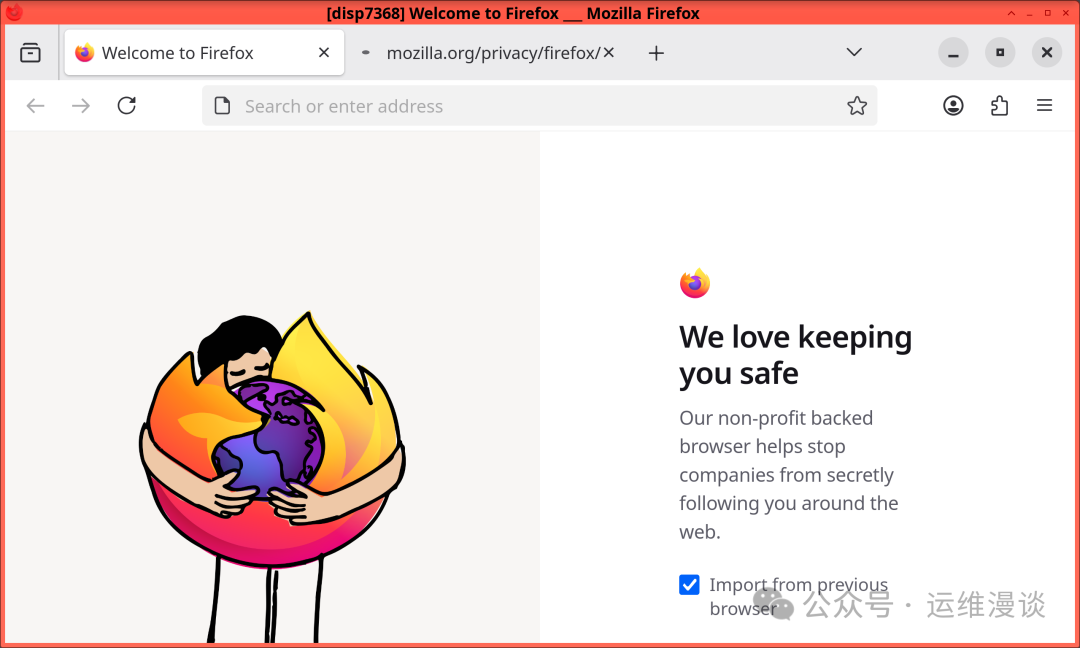 Qubes OS 的 Disposable VM 中运行的 Firefox 浏览器