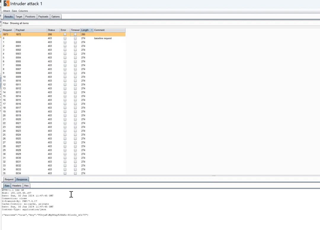 Intruder攻击结果，筛选出状态码为200的成功请求
