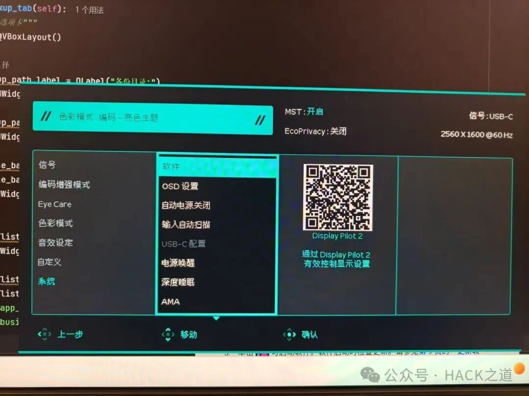 Display Pilot 2软件控制界面截图