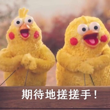 两只黄色毛绒鸡玩偶表情包:期待地搓搓手