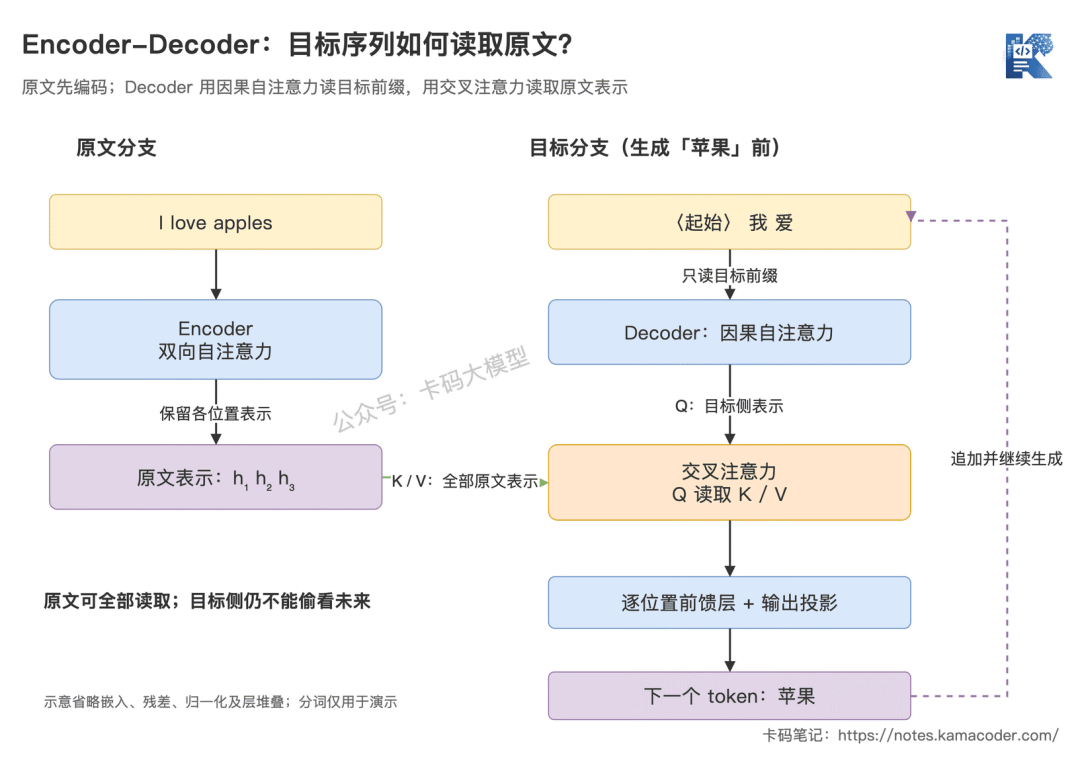 Encoder-Decoder 交叉注意力:Decoder 读取原文分支表示