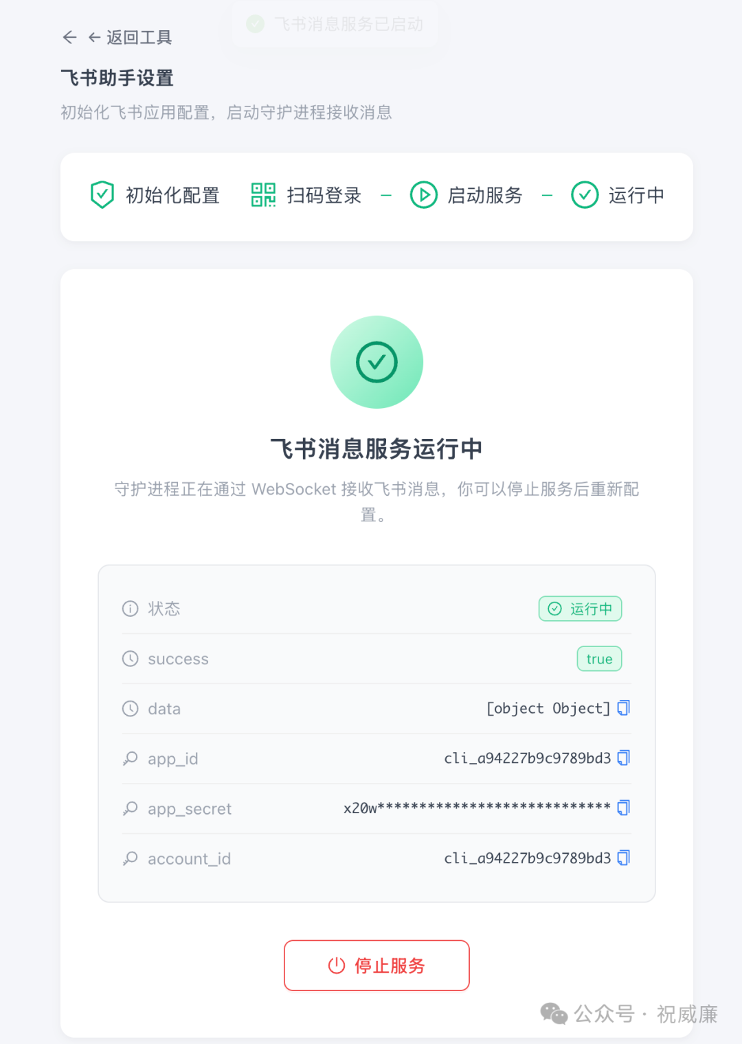 飞书消息服务成功运行状态界面