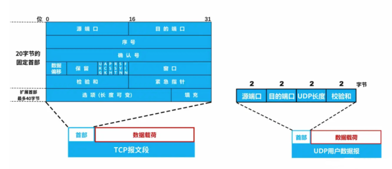 TCP报文段与UDP用户数据报首部结构对比图
