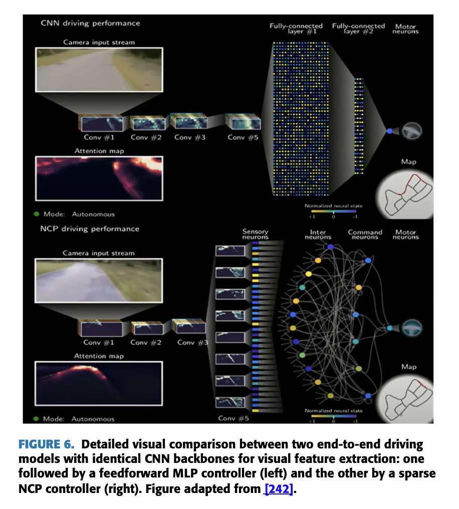 图9：CNN-MLP vs CNN-NCP 注意力热力图对比