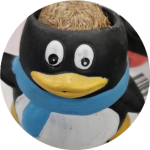 戴围巾的企鹅卡通形象