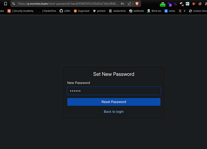 设置新密码界面
