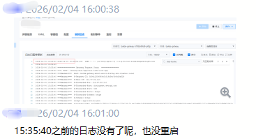 日志缺失问题示例界面