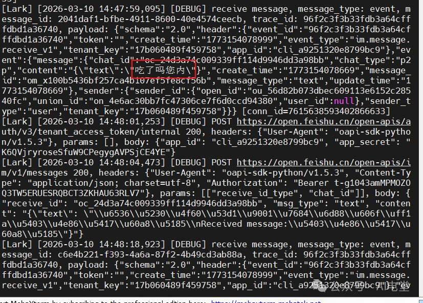树莓派终端显示接收到的飞书消息JSON日志