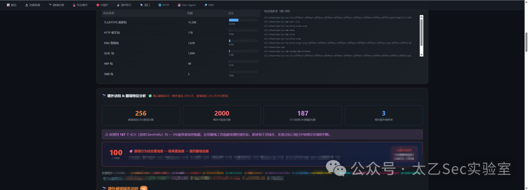 网络安全监控面板，显示TLS、HTTP、DNS等协议的流量统计