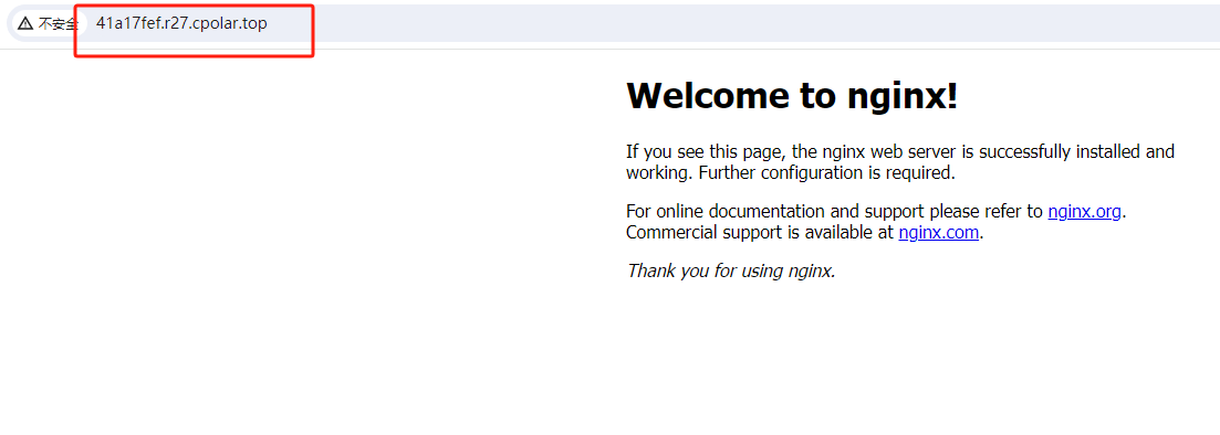 通过 cpolar 随机公网地址访问本地 Nginx 欢迎页面