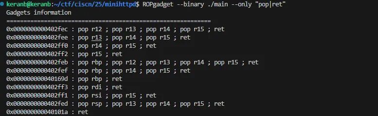 ROPgadget 工具输出多个 Gadgets 信息，每行包含内存地址、pop 指令序列和 ret 指令