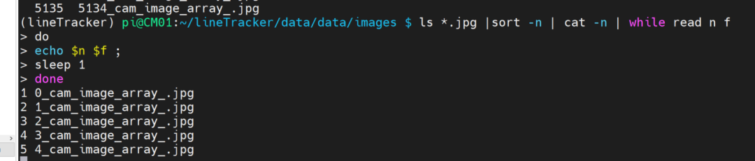 排序并列出文件名