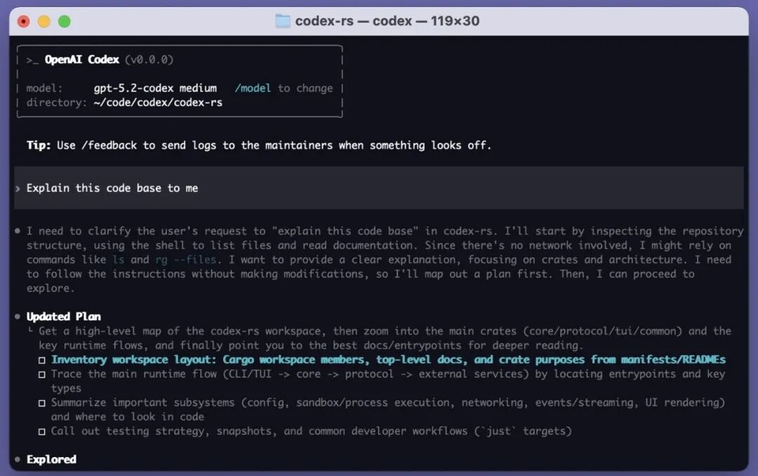OpenAI Codex CLI 终端界面,展示代码库分析计划