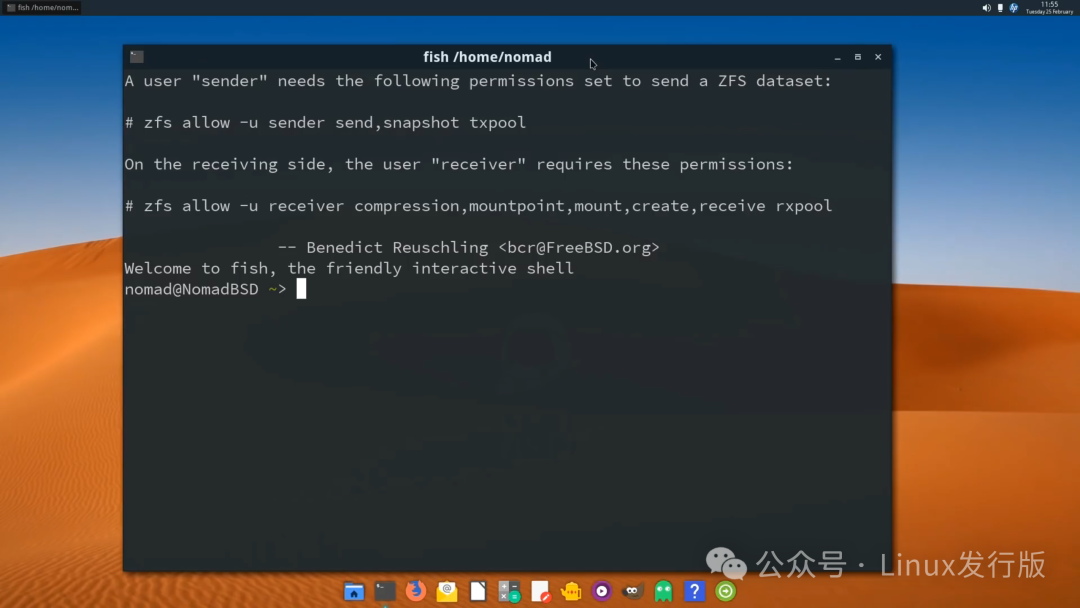 NomadBSD终端窗口，显示ZFS配置示例与fish shell欢迎信息