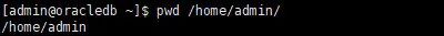 pwd命令显示指定路径示例