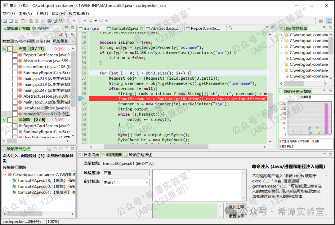 软件成功运行并执行代码审计功能