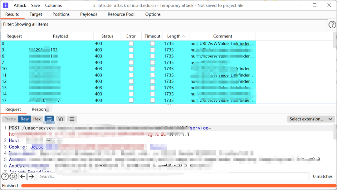 Burp Suite Intruder 攻击结果