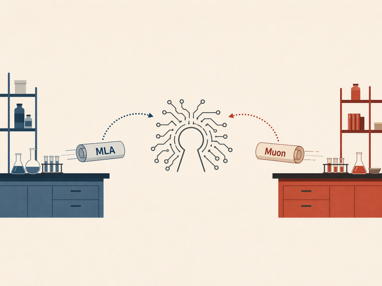 MLA与Muon技术交互示意图