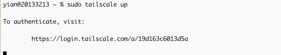 执行tailscale up命令提示认证的终端截图