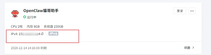 服务器实例信息，突出显示IPv4地址