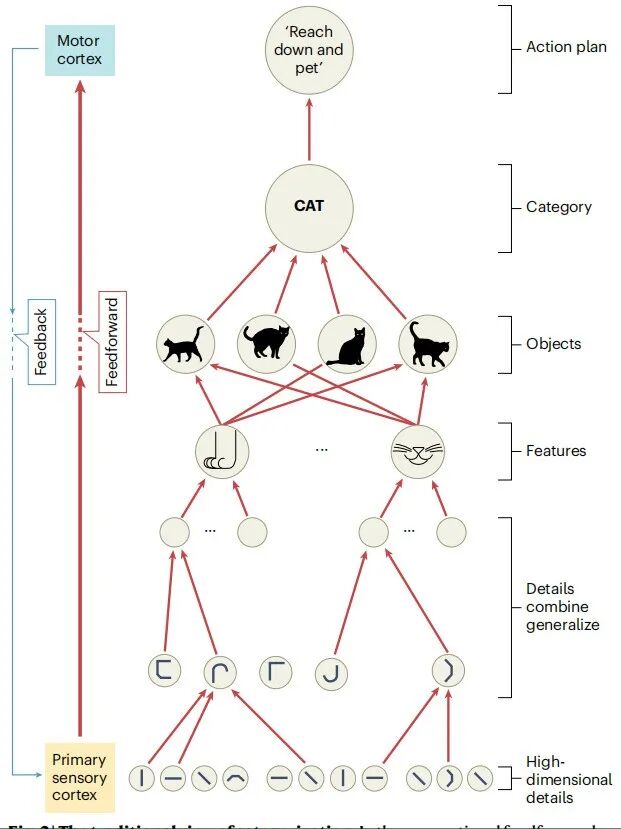 传统层次化特征检测模型示意图