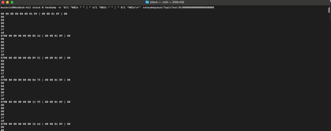ConsumeQueue二进制内容